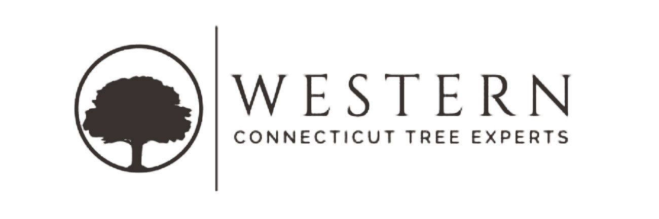 Western CT Tree Experts - Tree Care & Removal Newtown, CT